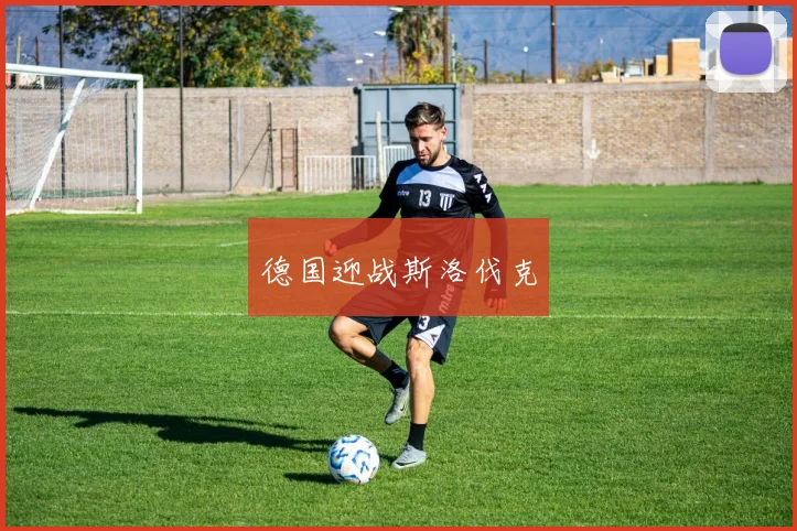 德国迎战斯洛伐克