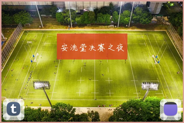 安洗莹决赛之夜