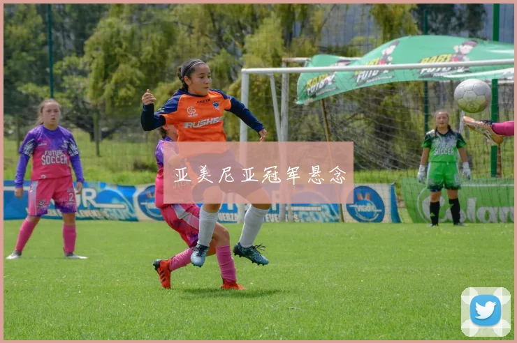 亚美尼亚冠军悬念
